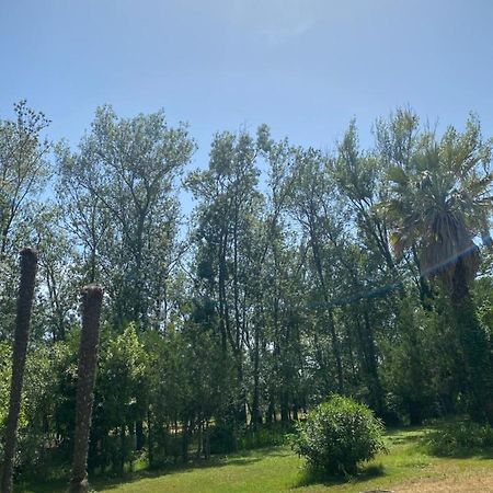 Chalet En Pleine Nature La Roquette-sur-Siagne Exterior photo