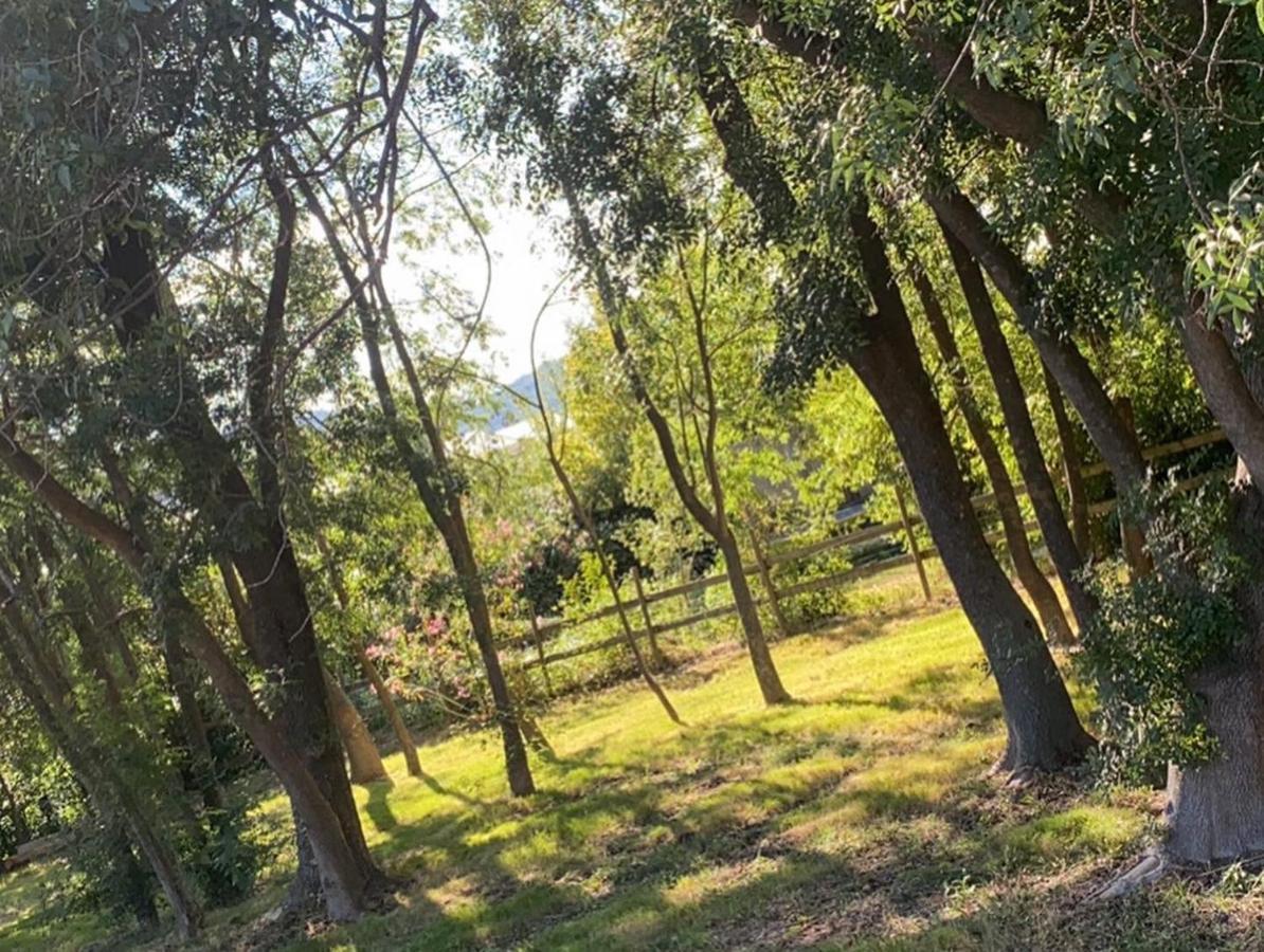Chalet En Pleine Nature La Roquette-sur-Siagne Exterior photo